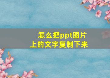 怎么把ppt图片上的文字复制下来