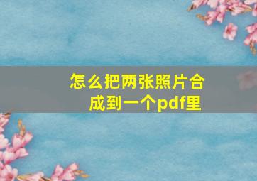 怎么把两张照片合成到一个pdf里