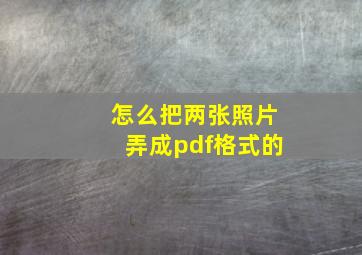 怎么把两张照片弄成pdf格式的