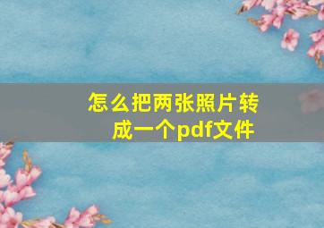 怎么把两张照片转成一个pdf文件