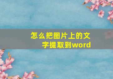 怎么把图片上的文字提取到word