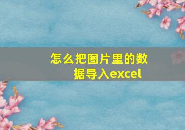 怎么把图片里的数据导入excel