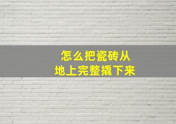 怎么把瓷砖从地上完整撬下来