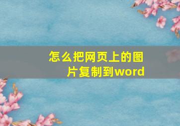 怎么把网页上的图片复制到word