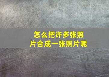 怎么把许多张照片合成一张照片呢