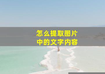 怎么提取图片中的文字内容