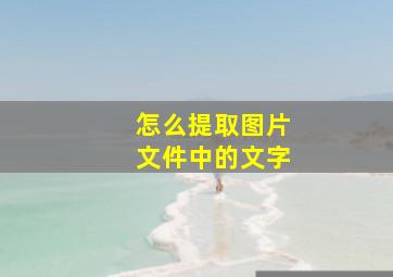 怎么提取图片文件中的文字