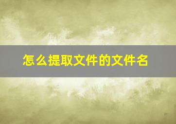 怎么提取文件的文件名