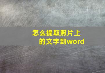 怎么提取照片上的文字到word