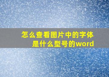 怎么查看图片中的字体是什么型号的word