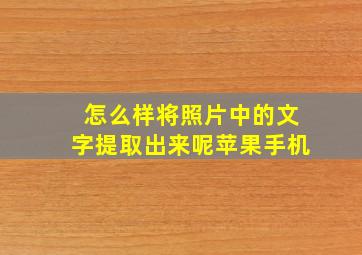 怎么样将照片中的文字提取出来呢苹果手机