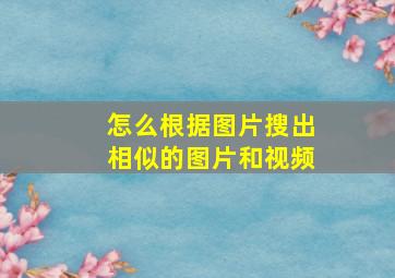 怎么根据图片搜出相似的图片和视频