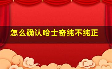 怎么确认哈士奇纯不纯正