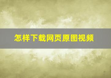 怎样下载网页原图视频