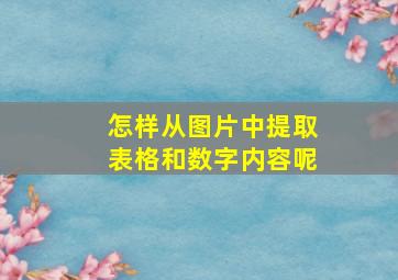 怎样从图片中提取表格和数字内容呢