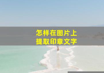 怎样在图片上提取印章文字