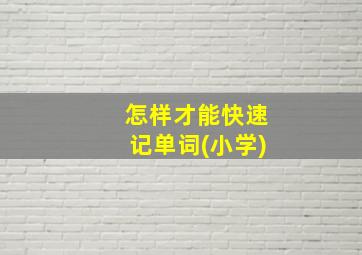 怎样才能快速记单词(小学)