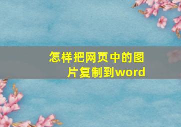 怎样把网页中的图片复制到word