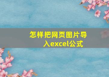 怎样把网页图片导入excel公式