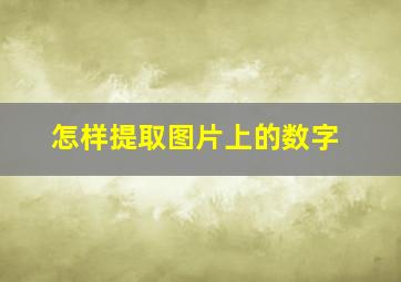 怎样提取图片上的数字