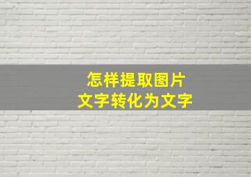 怎样提取图片文字转化为文字