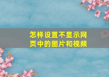 怎样设置不显示网页中的图片和视频