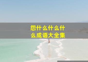 怨什么什么什么成语大全集