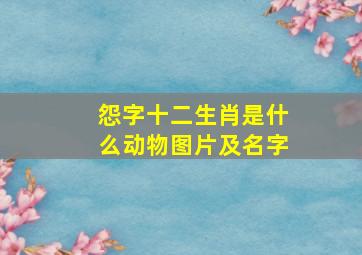 怨字十二生肖是什么动物图片及名字