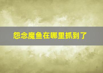 怨念魔鱼在哪里抓到了