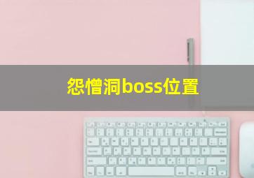 怨憎洞boss位置