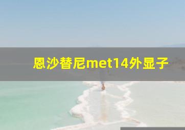 恩沙替尼met14外显子