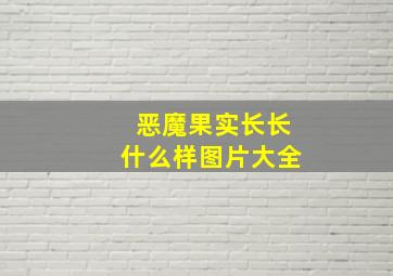 恶魔果实长长什么样图片大全