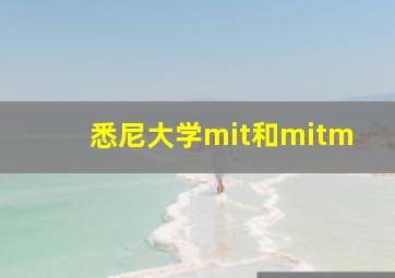 悉尼大学mit和mitm