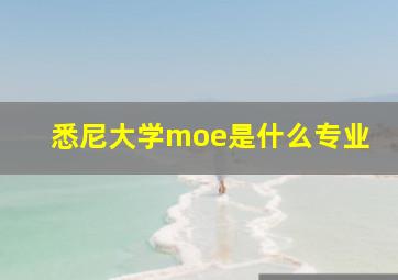 悉尼大学moe是什么专业