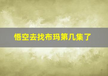 悟空去找布玛第几集了