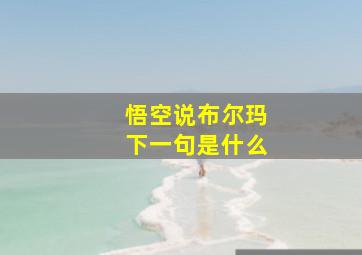 悟空说布尔玛下一句是什么