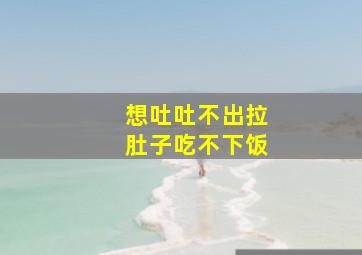 想吐吐不出拉肚子吃不下饭