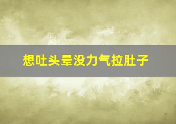 想吐头晕没力气拉肚子