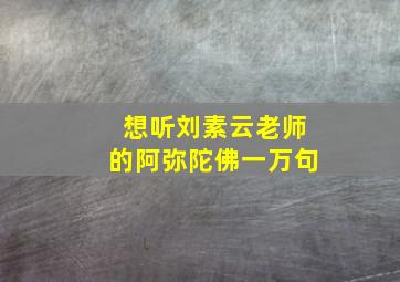 想听刘素云老师的阿弥陀佛一万句