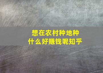 想在农村种地种什么好赚钱呢知乎