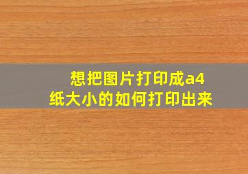 想把图片打印成a4纸大小的如何打印出来