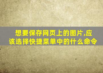 想要保存网页上的图片,应该选择快捷菜单中的什么命令