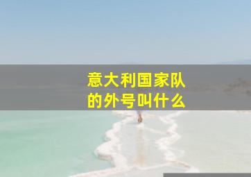 意大利国家队的外号叫什么