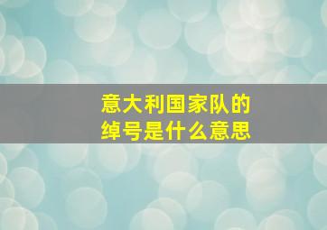 意大利国家队的绰号是什么意思