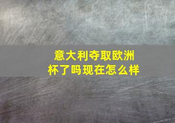 意大利夺取欧洲杯了吗现在怎么样