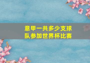 意甲一共多少支球队参加世界杯比赛