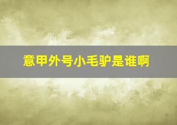 意甲外号小毛驴是谁啊