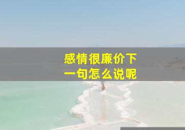 感情很廉价下一句怎么说呢