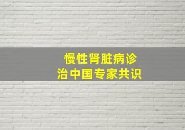 慢性肾脏病诊治中国专家共识