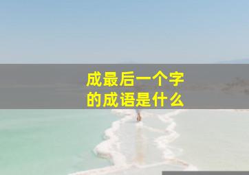 成最后一个字的成语是什么